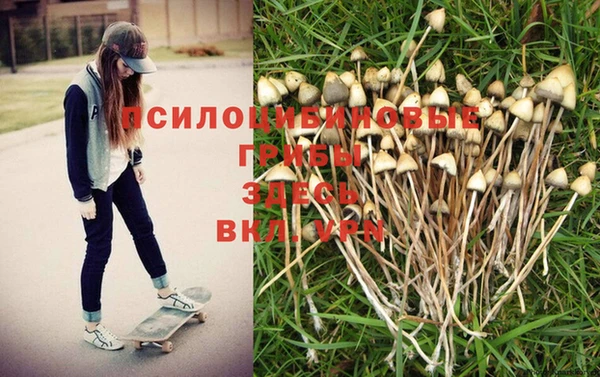 наркотики Абаза