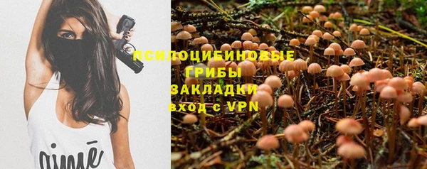 ALPHA PVP Алзамай