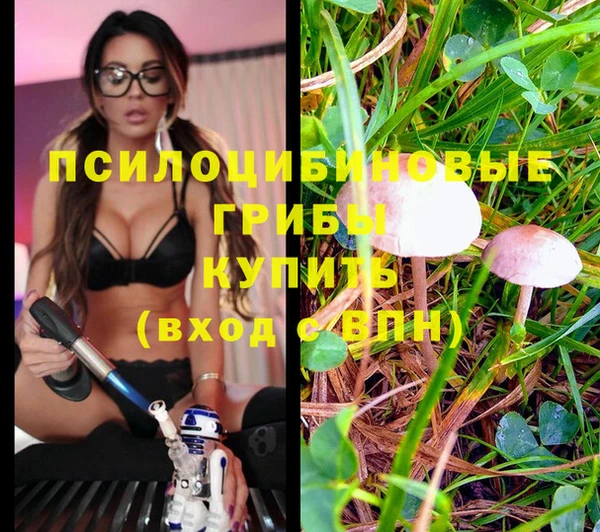 наркотики Абаза