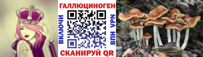 Галлюциногенные грибы прущие грибы  мега зеркало  Алапаевск  как найти  